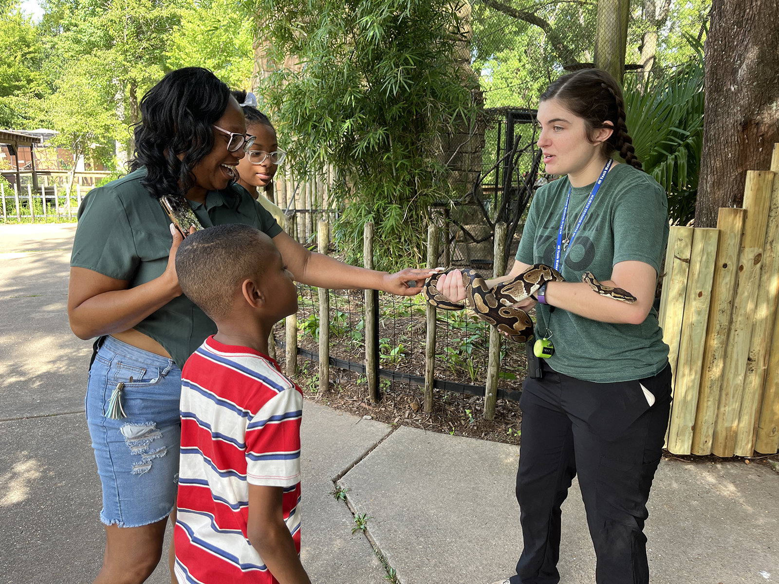 animal encounter with a ball python
