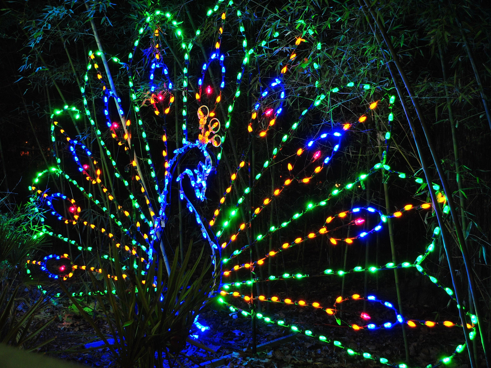 peacock lighted animal figure