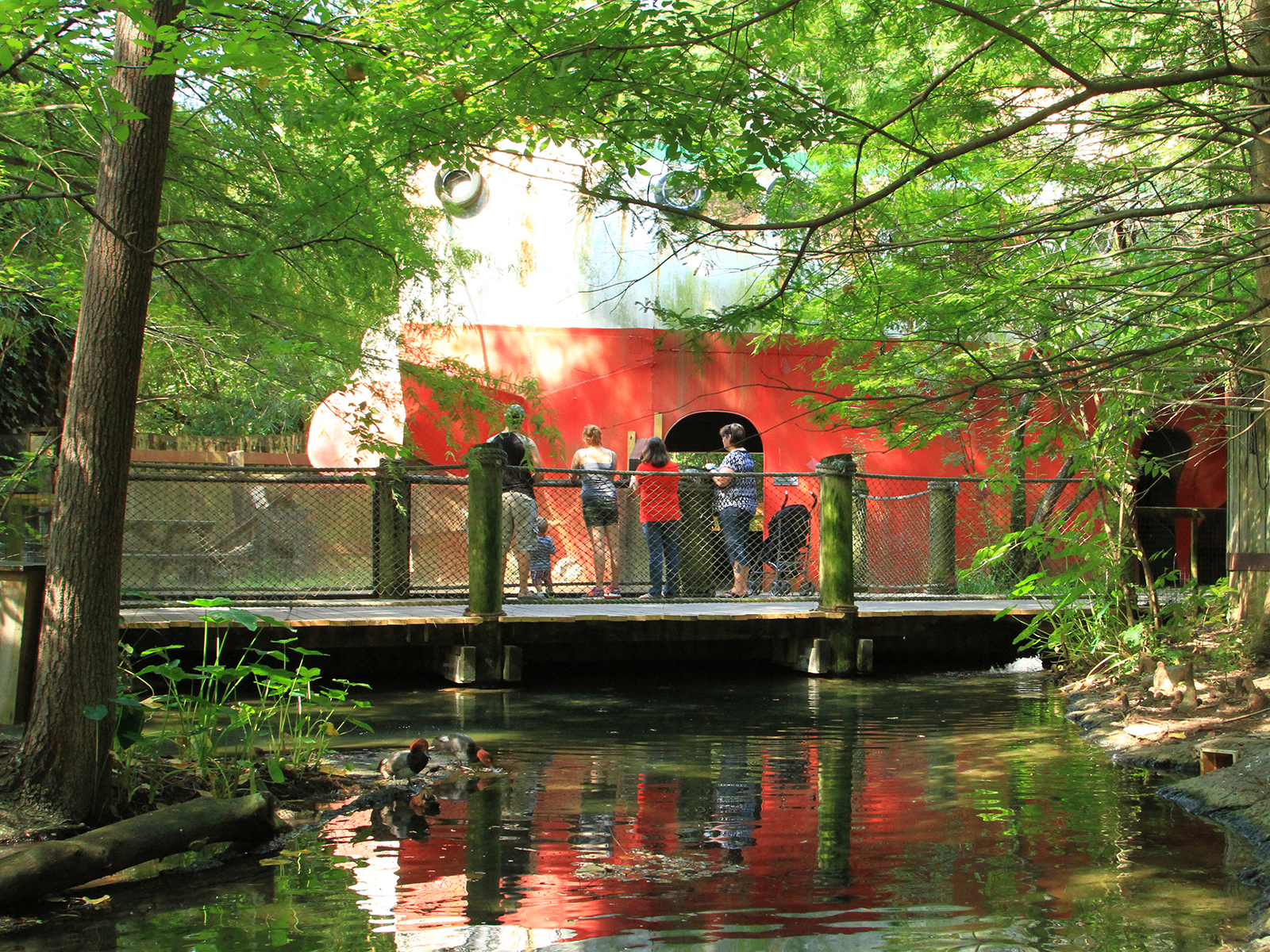 visitors in Louisiana Habitat
