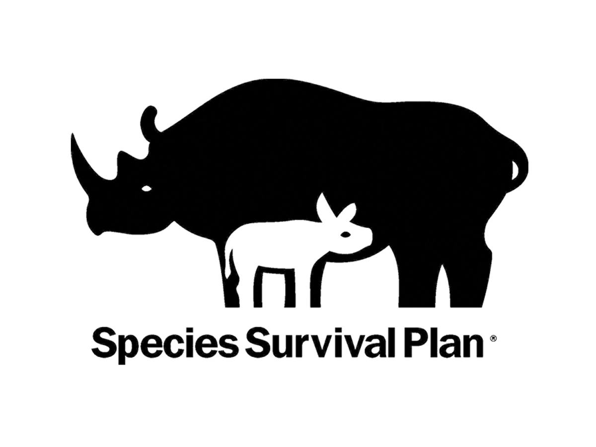 logo Species Survival Plan